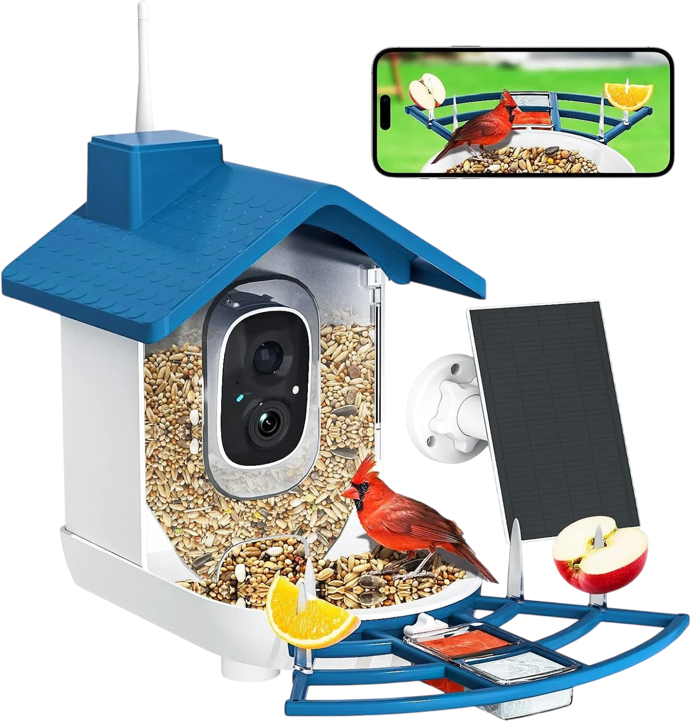Smart Bird Feeder with Solar Camera and AI Recognition