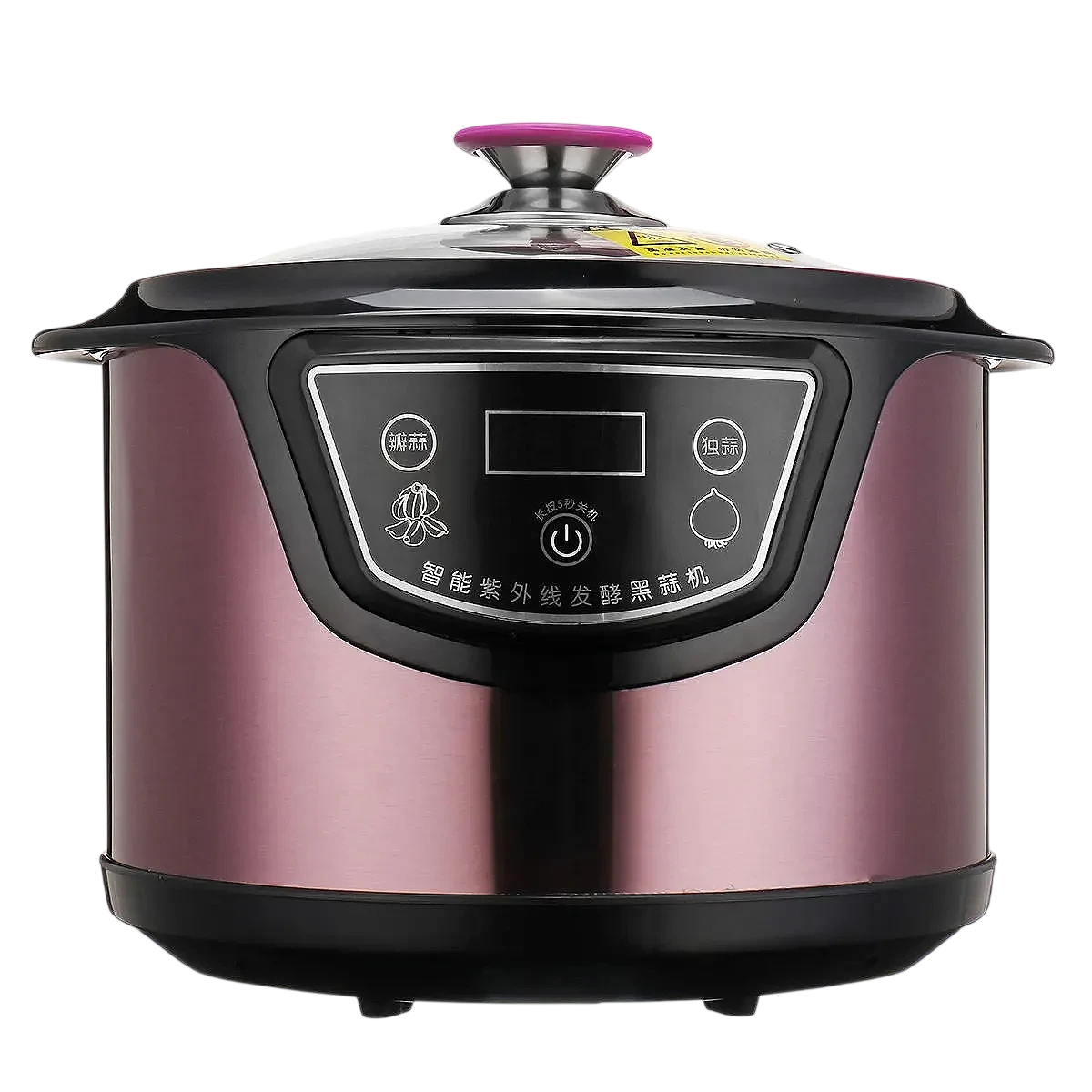 Fermentador Inteligente de Ajo Negro 6L | 90W con UV — foto 1